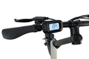 E-Bike HENRI 20" gri/siyah - 6