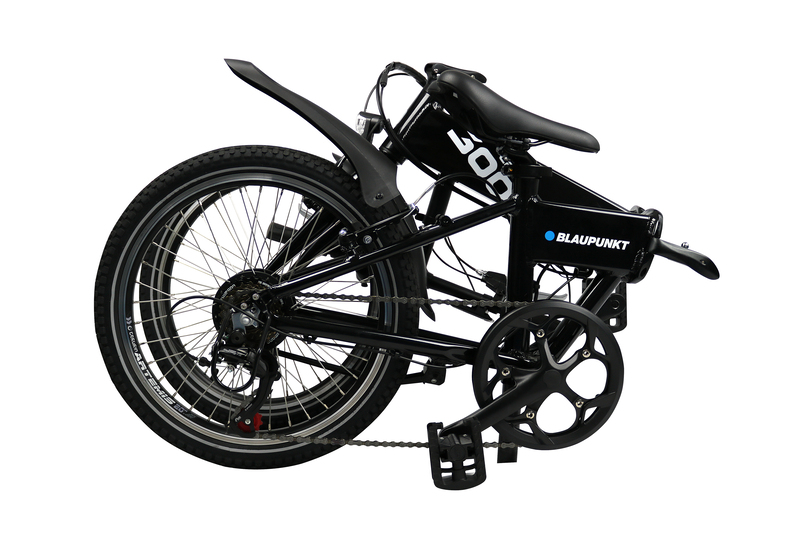 E-Bike CARL 300 - 2