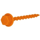 Peggy Peg Başlangıç Seti - 3
