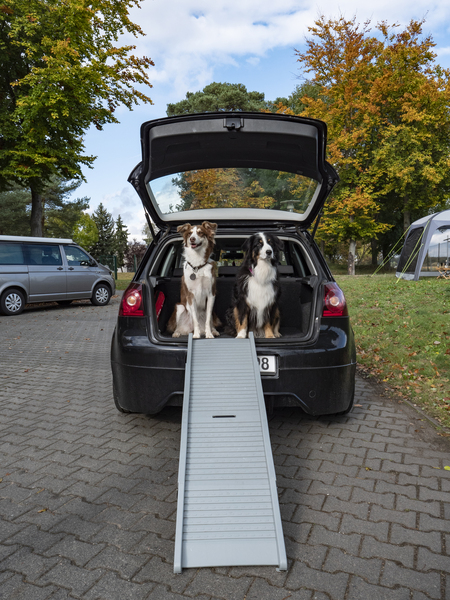Köpek Rampası EMMA - 2