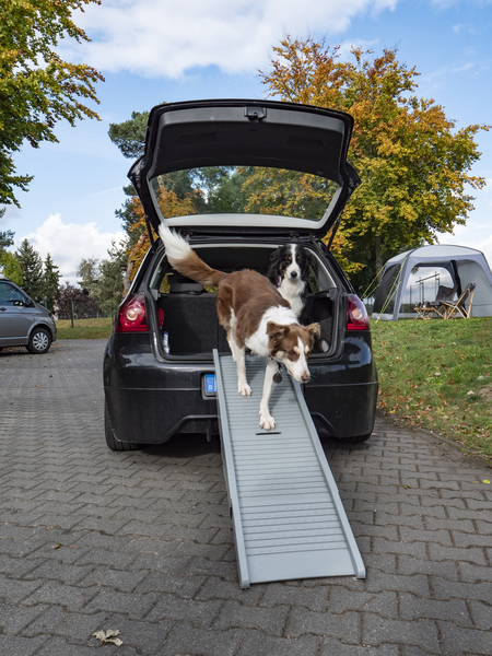 Köpek Rampası EMMA - 3
