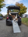 Köpek Rampası EMMA - 3