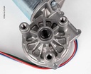 Motor D59 DX 12V - 2
