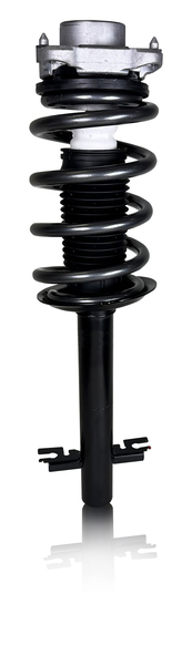 Linnepe ProShock Ducato Light