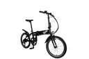 E-Bike CARL 300
