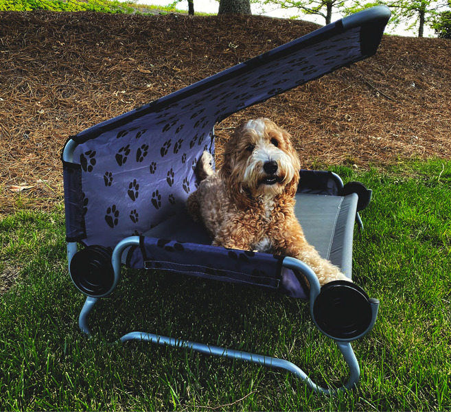 Tenteli Köpek Yatağı DOG-BED