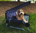 Tenteli Köpek Yatağı DOG-BED