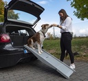Köpek Rampası EMMA