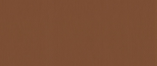 [REIMO-510430] Santiago Suni Deri Konyak 6m