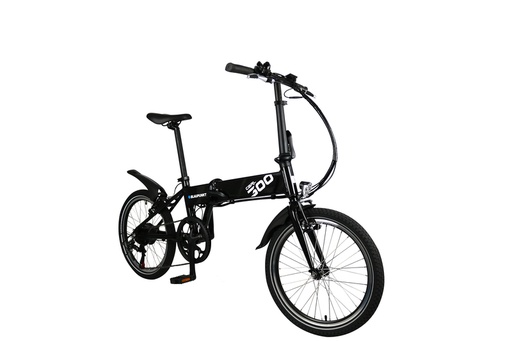 [REIMO-908967] E-Bike CARL 300
