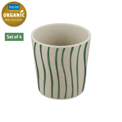 [REIMO-917611] Monstera 190 ml Kupa