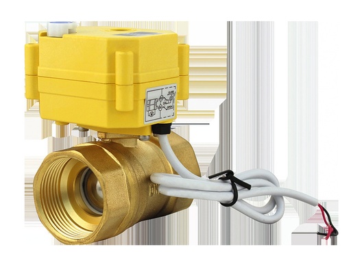 [REIMO-E11081] Elektrikli Küresel Vana 1 1/4"